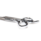 Fromm Shear Artistry Explore Hair Cutting Shears 5.75"